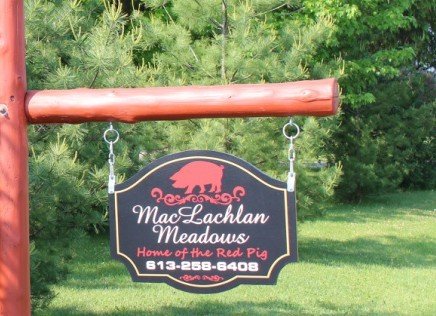 MacLachlan Meadows